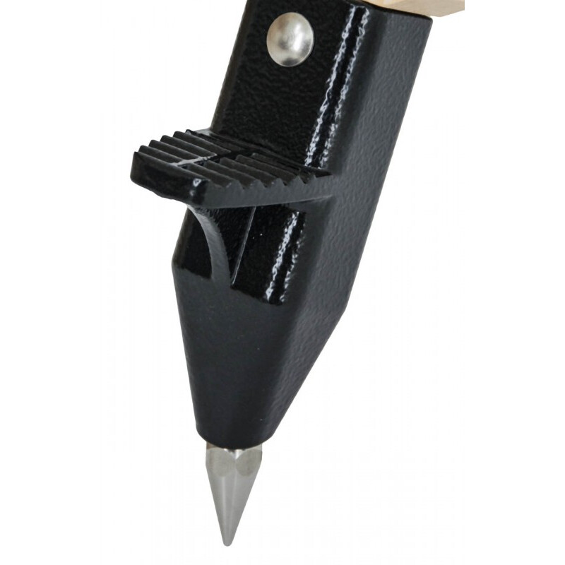 Berlebach Cavalletto Uni 18 ZWO AM5 con piastra di base