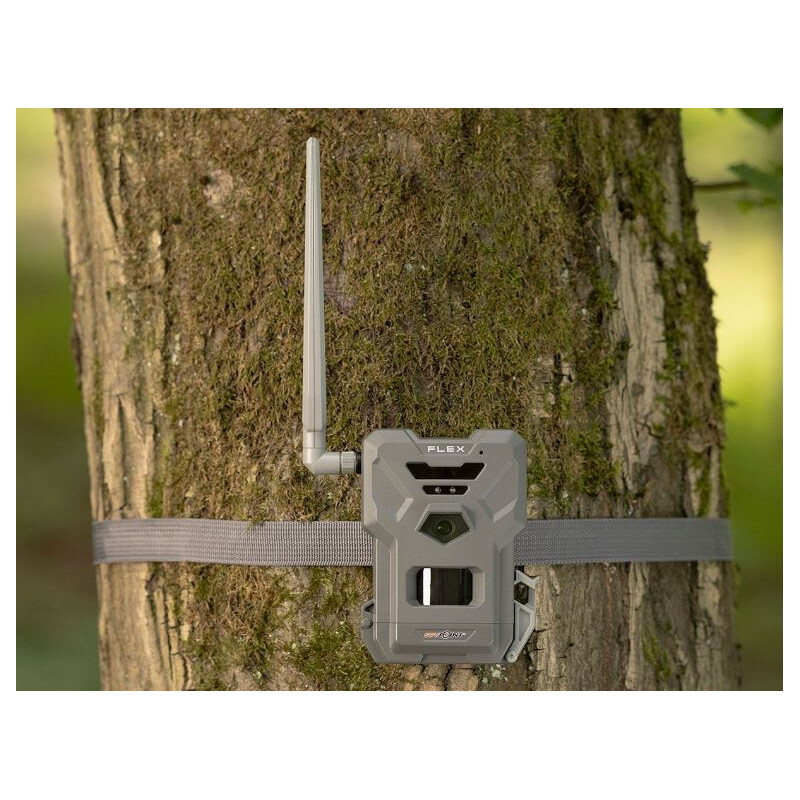 Spypoint Rilevatore di selvaggina Telecamera per animali selvatici  FLEX
