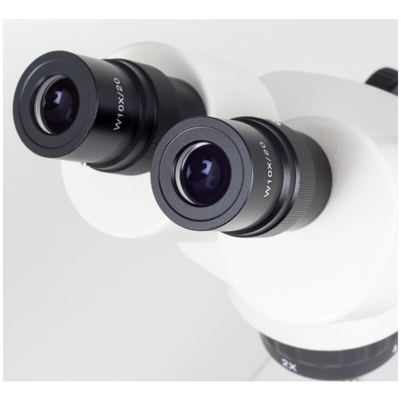 Motic Microscopio stereo SFC-11C-N2LED