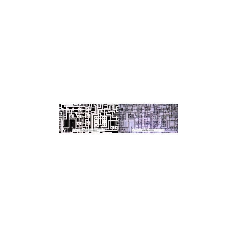 Dino-Lite Microscopio AM73515MT8A, 5MP, 700-900x, 8 LED, 45/20 fps, USB 3.0