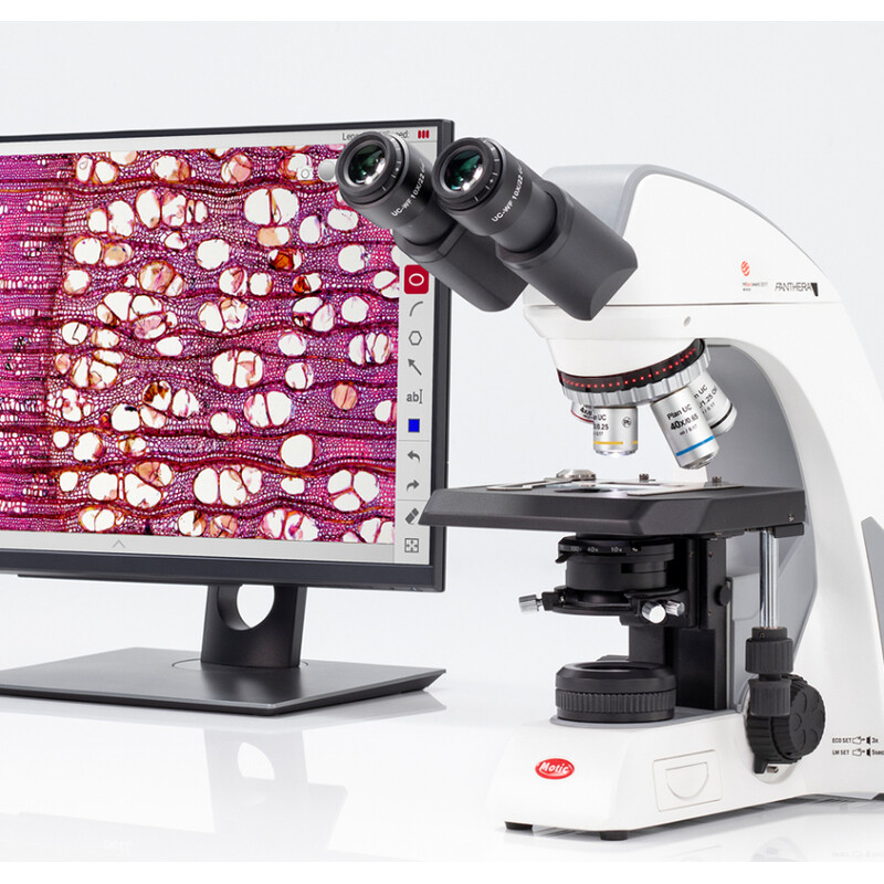 Motic Microscopio Microscopi Panthera cloud, bino, digital, infinity, plan, achro, 40x-1000x, 10x/22mm, Halogen/LED, HDMI, 8MP