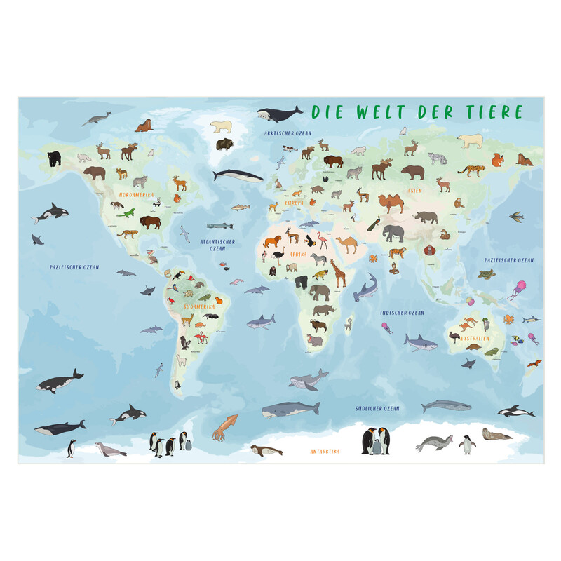 GeoMetro Mappa per Bambini Il mondo degli animali (84 x 60 cm)