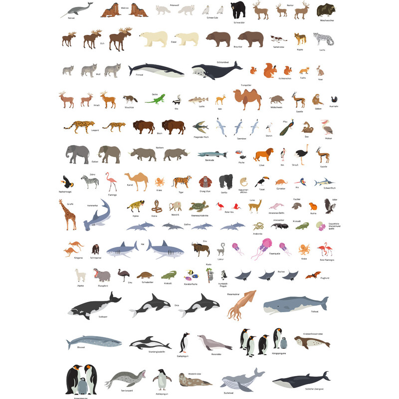 GeoMetro Mappa per Bambini Il mondo degli animali (84 x 60 cm)
