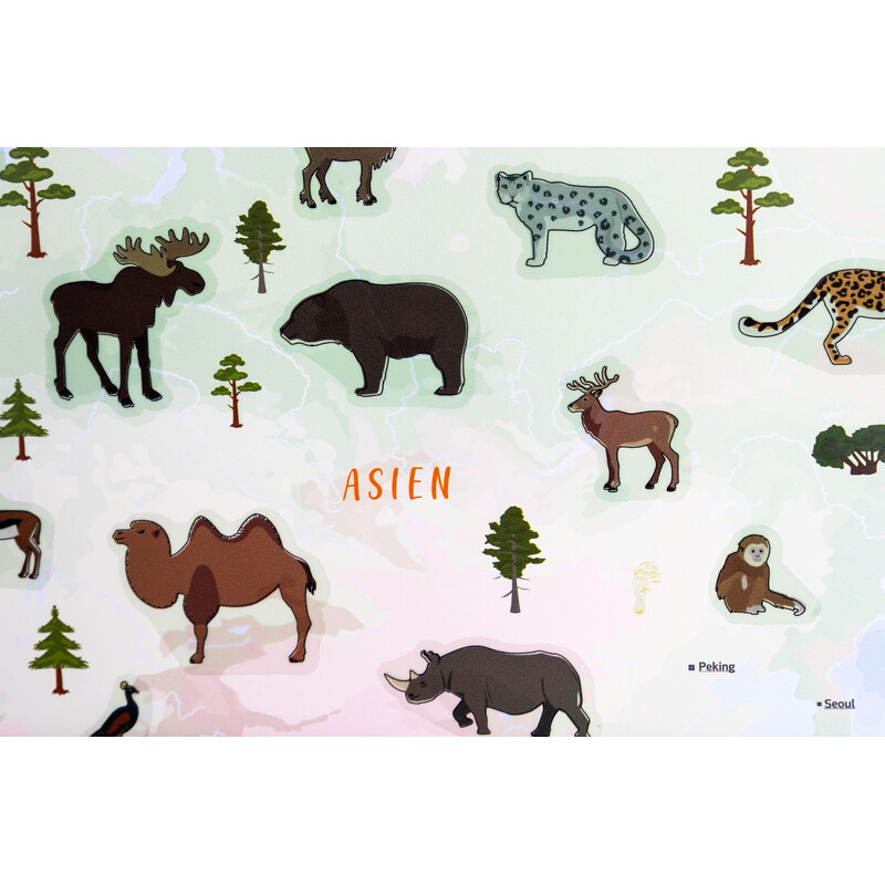 GeoMetro Mappa per Bambini Il mondo degli animali (84 x 60 cm)