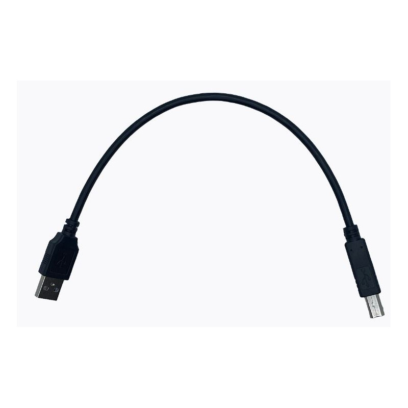 PegasusAstro Cavo USB 2.0-A Male - USB 2.0-B Male