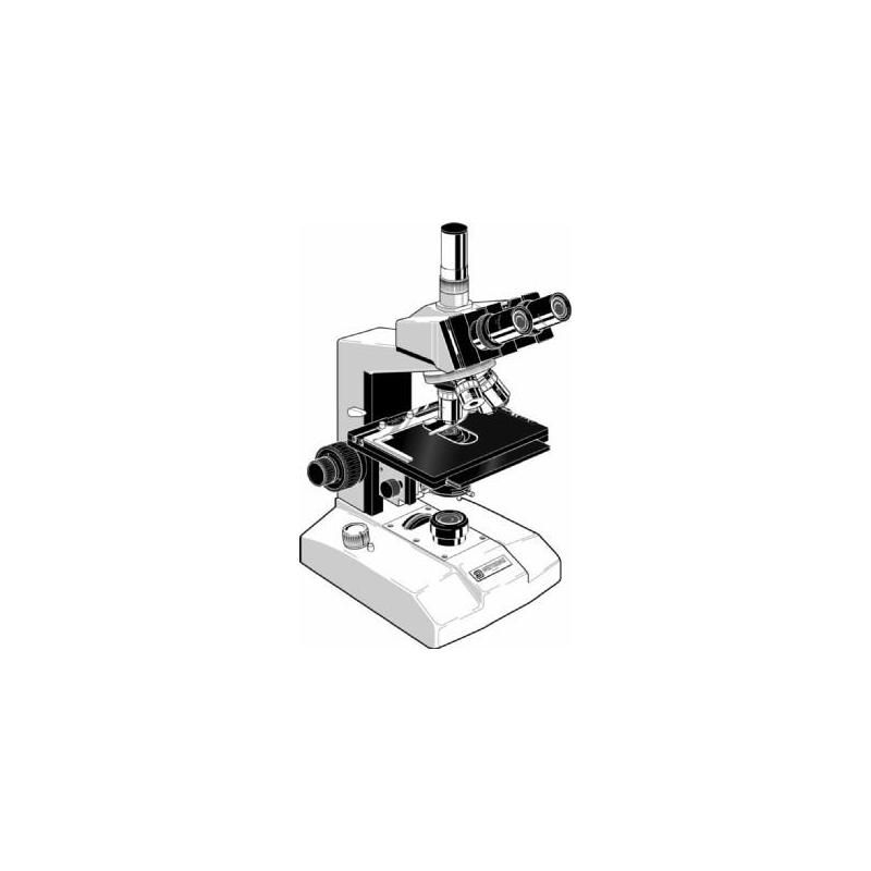 Euromex Microscopio FE.2025