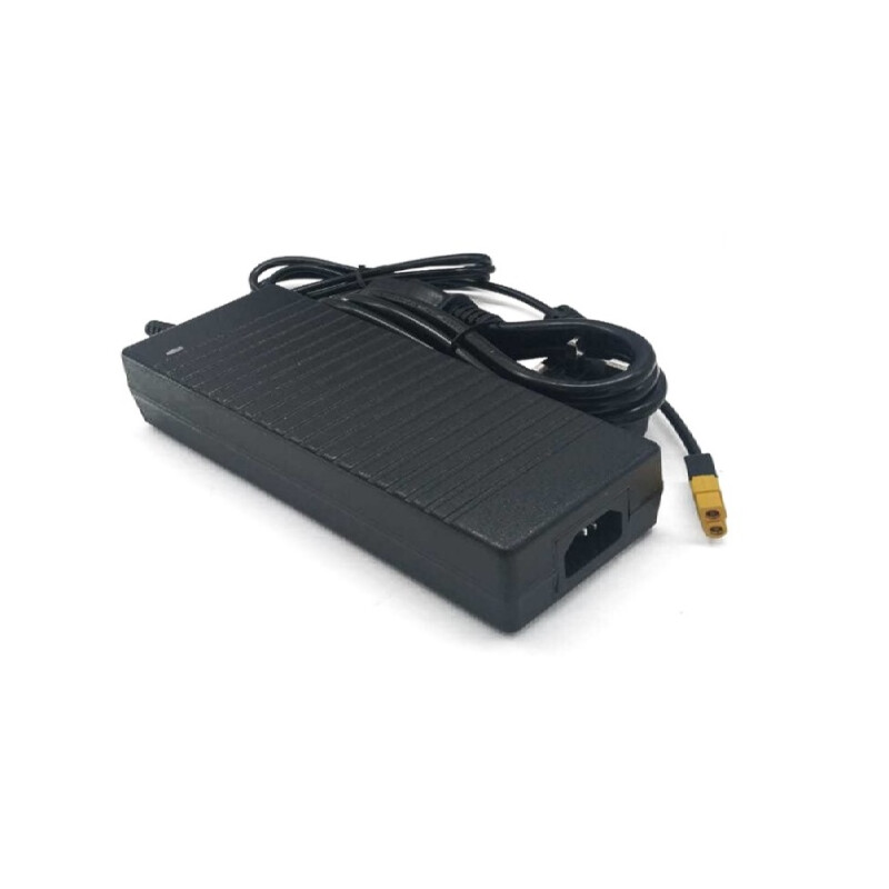 Ikarus Technologies Trasformatore 10A per StellarMate Pro