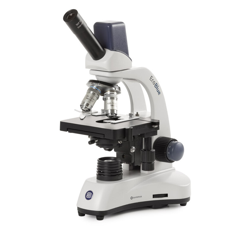 Euromex Microscopio EC.1155, mono, digitale, 40x-1000x, DL, LED, 10x/18 mm, Tavolo a croce X-Y, 5 MP