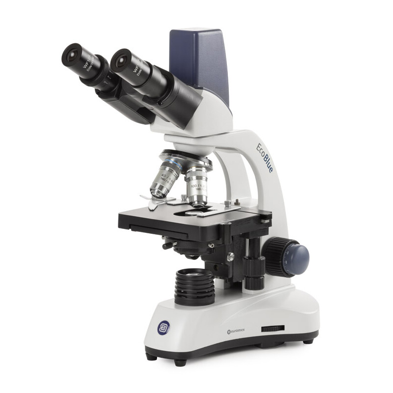 Euromex Microscopio EC.1157, binoculare, digitale, 40x-1000x, DL, LED, 10x/18 mm, tavolo a croce X-Y, 5 MP