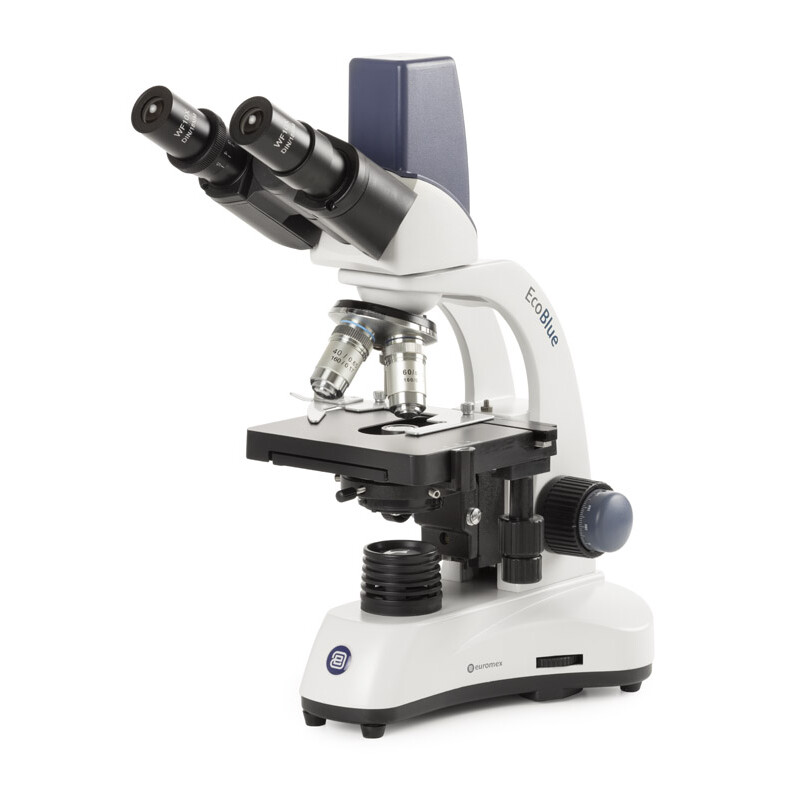 Euromex Microscopio EC.1657, bino, digital, 40x-600x, DL, LED, 10x/18 mm, X-Y-Kreuztisch, 5 MP
