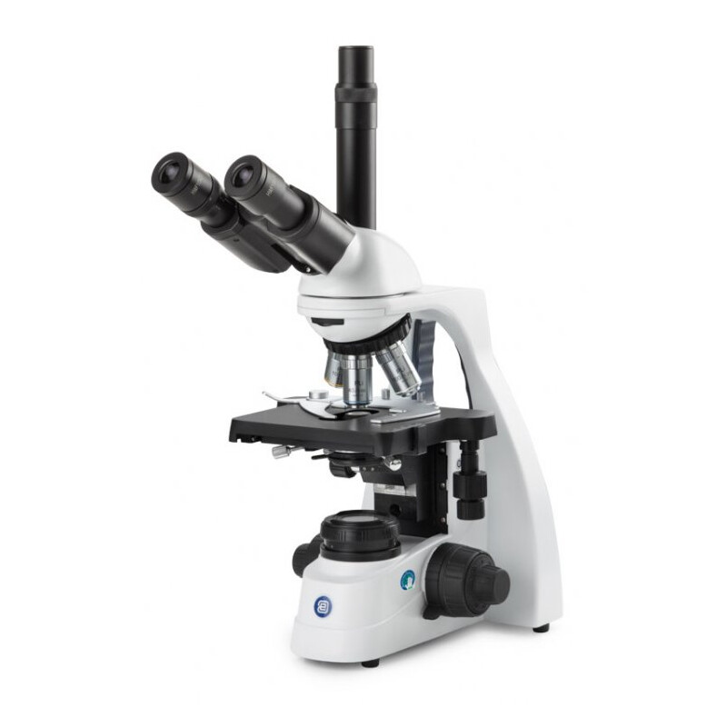 Euromex Microscopio BS.1153-EPL/DF, DF,  trino, 10x/20 mm, PL, 40x-1000x, DL, 5W LED