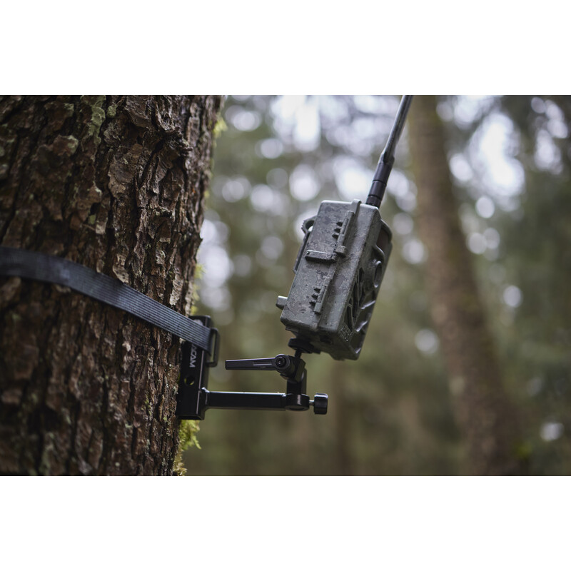 ZEISS Rilevatore di selvaggina Secacam 5 (confezione da 3)