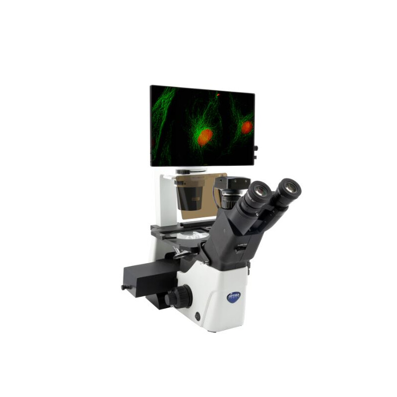 Microscopio invertito IM-300LD4D Digital Inverted LED fluorescence microscope, 400x, IOS LWD PLAN F, 4 empty filterset slots