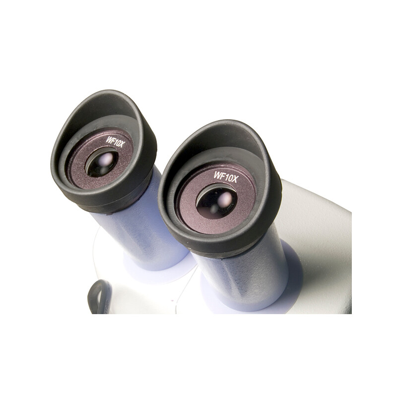 Levenhuk Microscopio stereo 5ST 20-40x LED