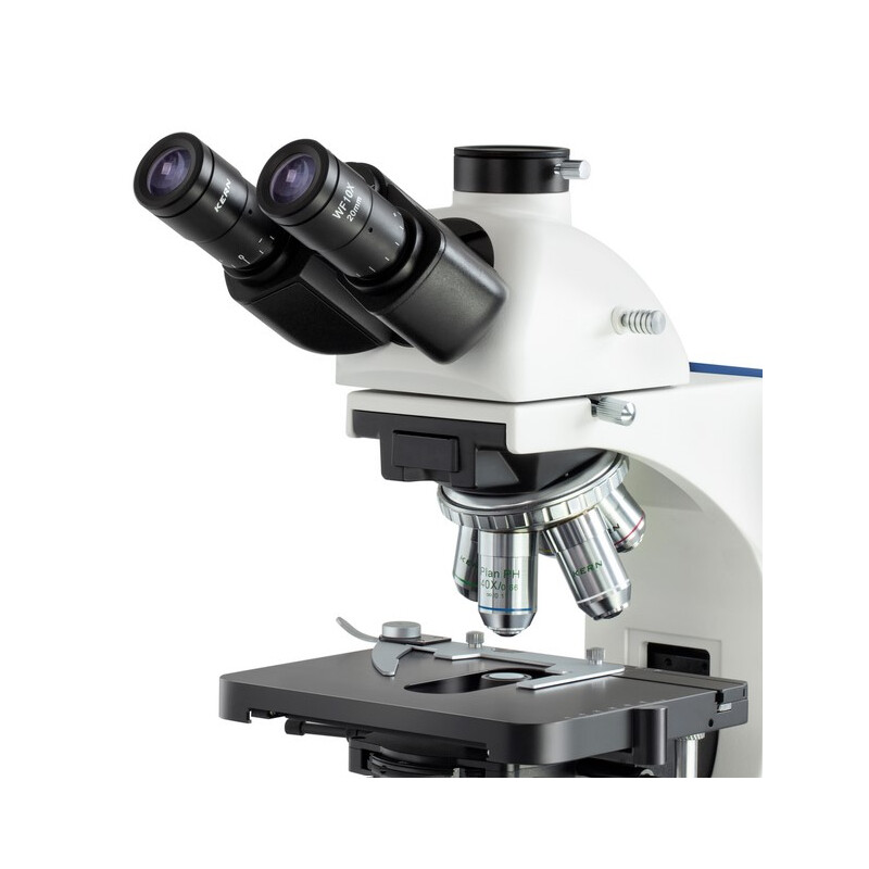 Kern Microscopio OBN 159, PH, 1,25 Condensatore di Abbe, infinito, piano, 4x-100x, Dl, 3W LED