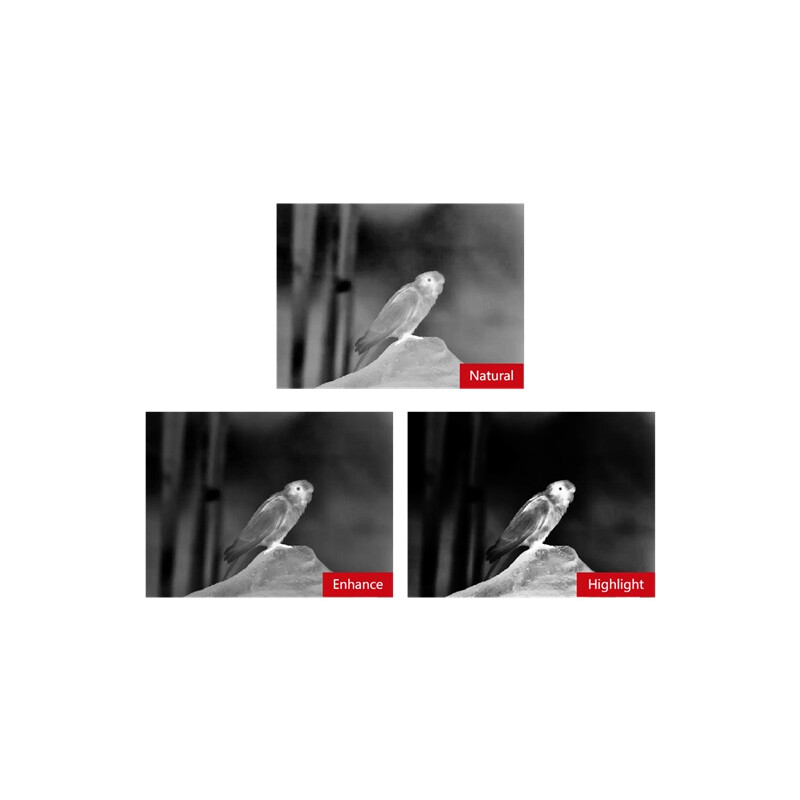 Guide Camera termica TN430
