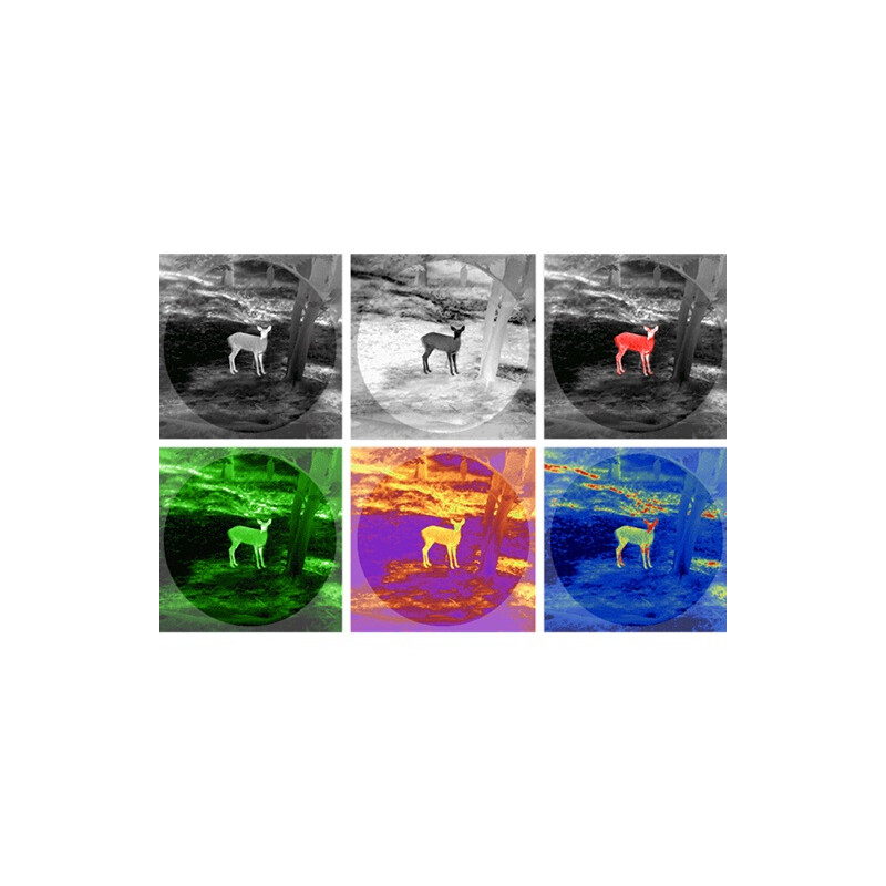 Guide Camera termica TN430
