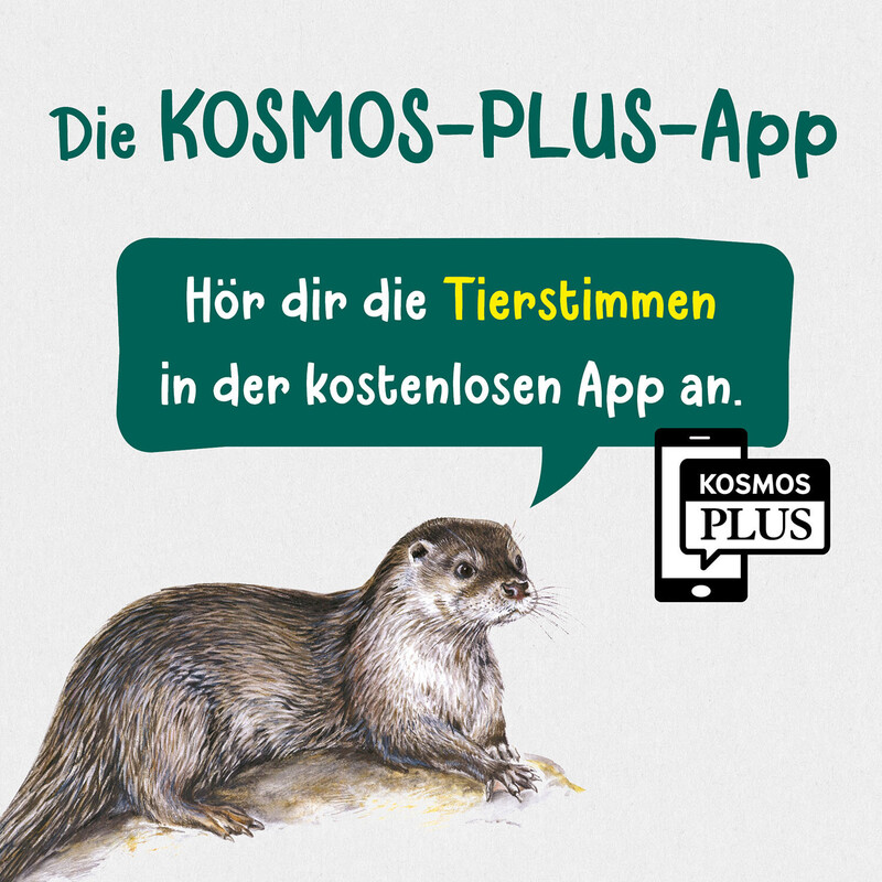 Kosmos Verlag Cosa vive nei ruscelli e negli stagni?