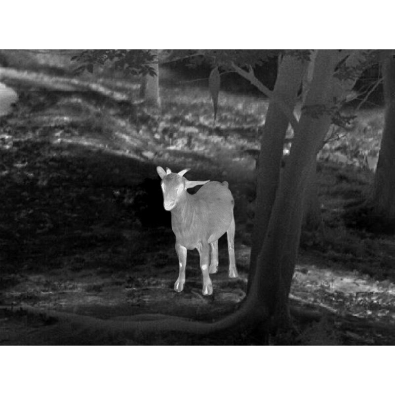 Guide Camera termica TD633L