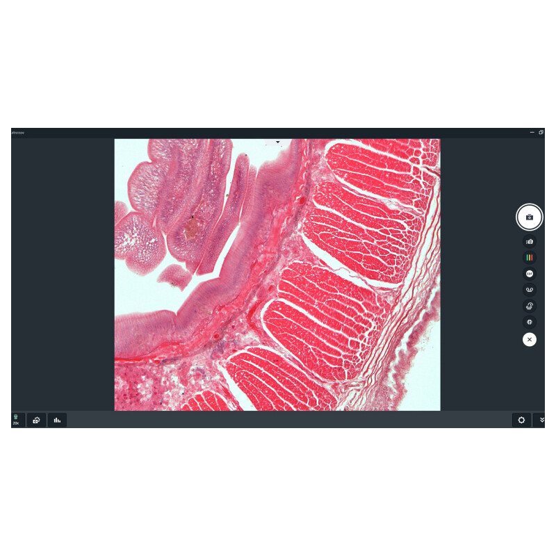 ZEISS Software Modulo Labscope Multi Channel DLic