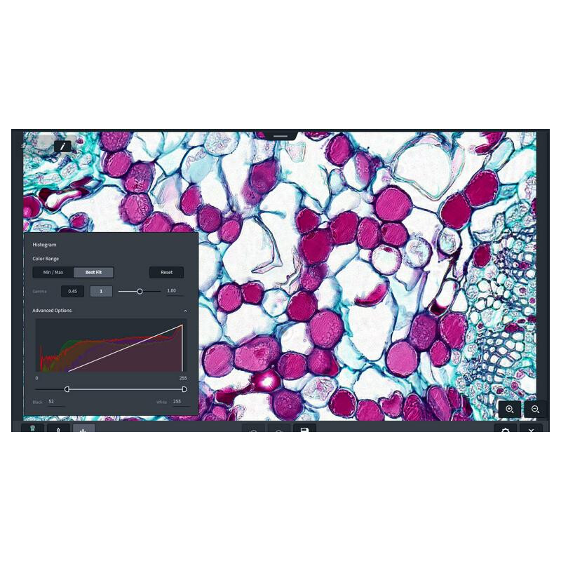 ZEISS Software Modulo Labscope Multi Channel DLic