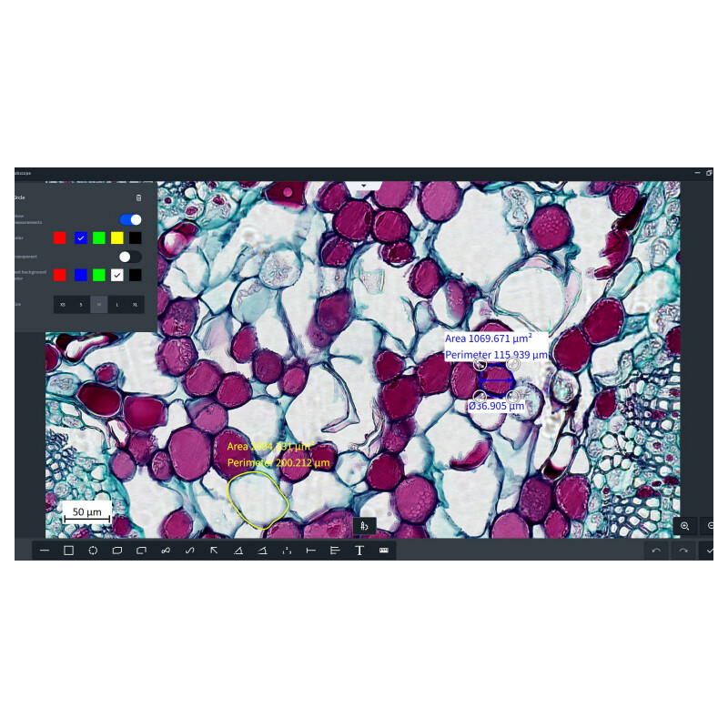 ZEISS Software Modulo Labscope Multi Channel DLic