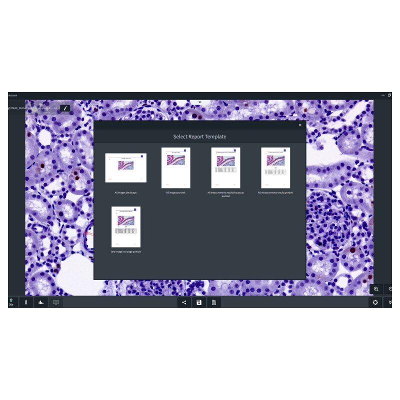 ZEISS Software Modulo Labscope Multi Channel DLic