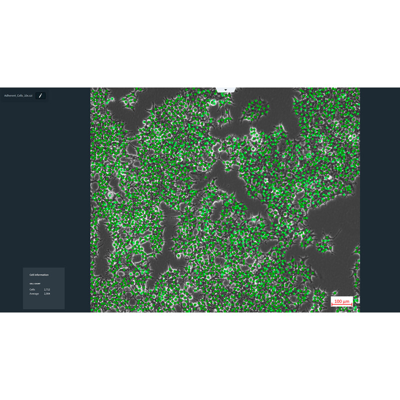 ZEISS Software Labscope Modulo AI Cell Counting DLic