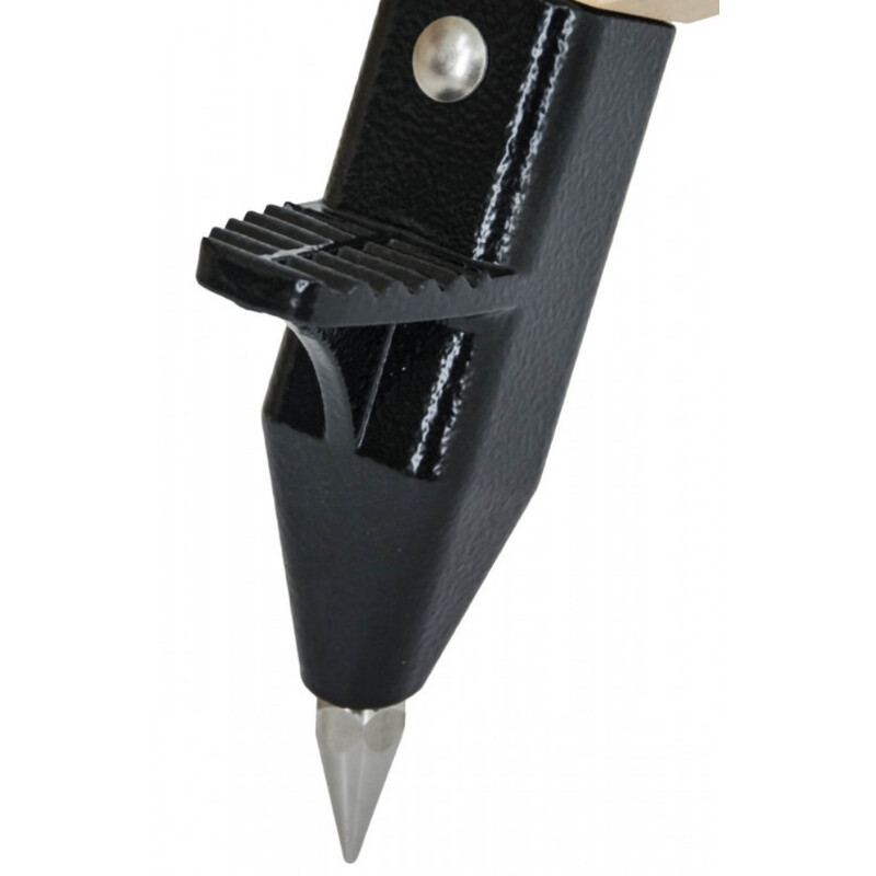 Berlebach Cavalletto UNI 8 Skywatcher WAVE-150i