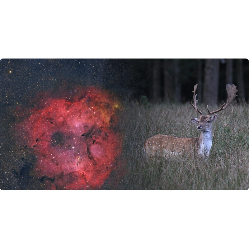 ToupTek Rifrattore Apocromatico HOPE D60 60/280 Tilter