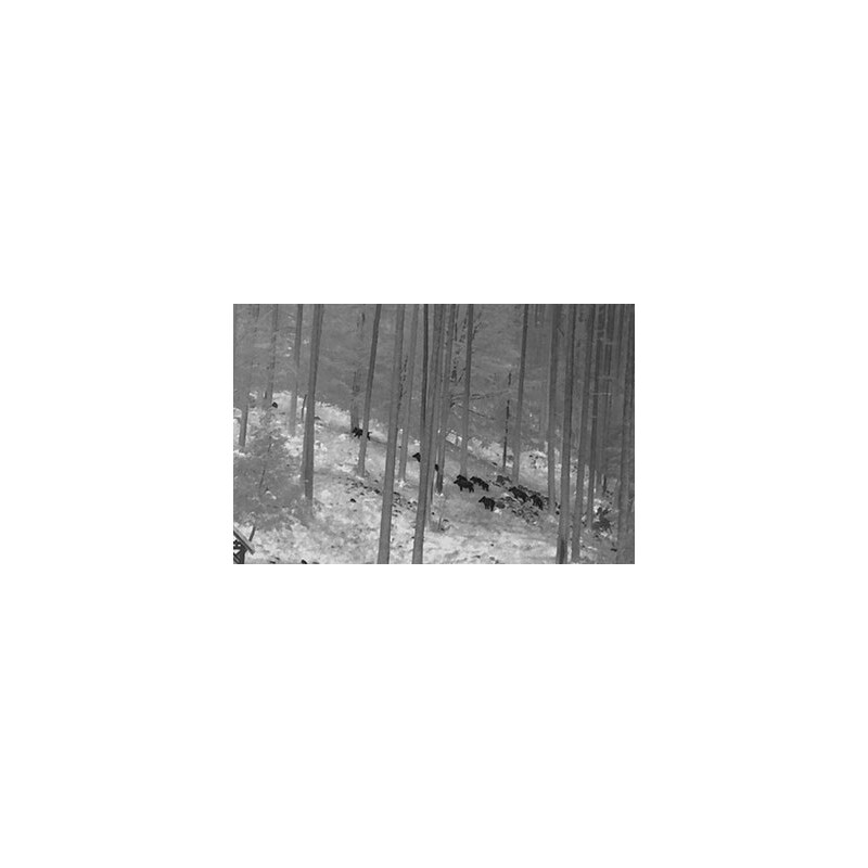 NiteHog Camera termica Viper 50 NXT