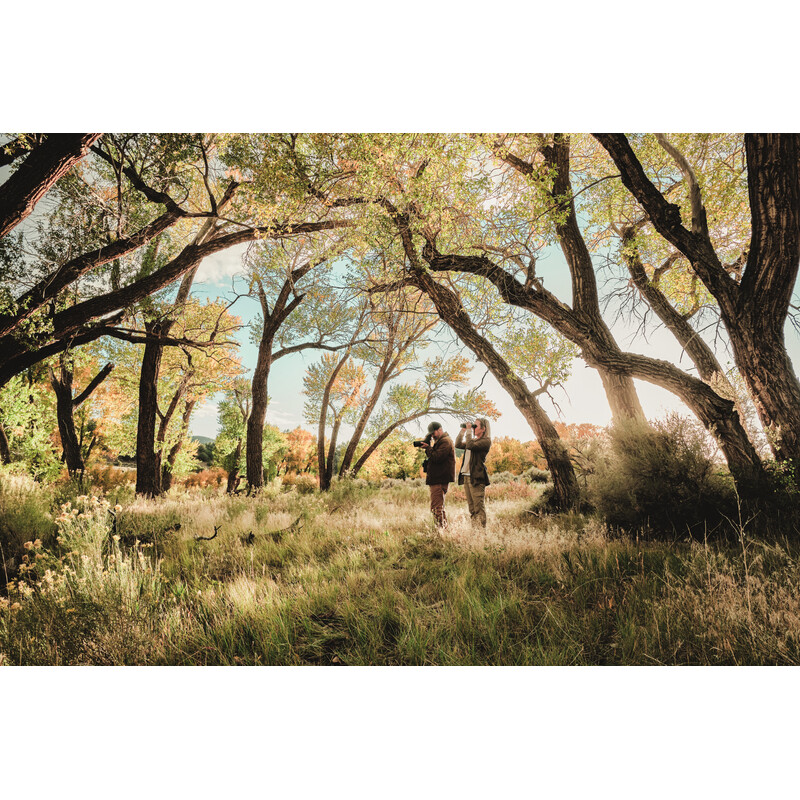 Swarovski Cannocchiali AT Balance 18-45x65