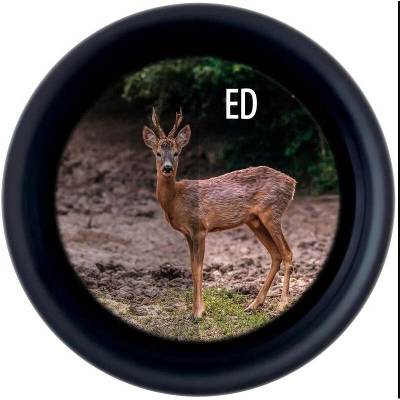 Minox Binocolo X-Tour 10x34