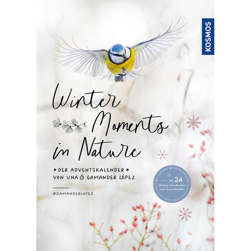 Winter Moments in natura  il calendario dell'Avvento