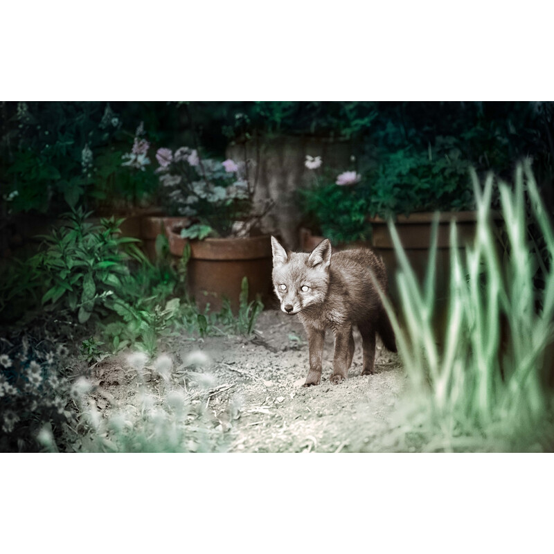 ZEISS Rilevatore di selvaggina Secacam 1