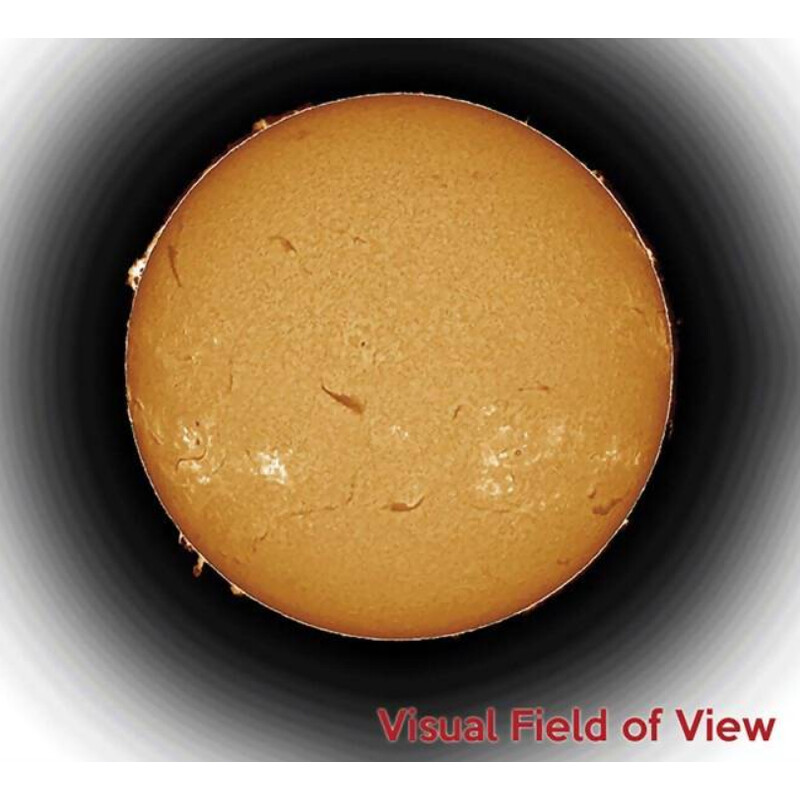 DayStar Telescopio Solare ST 100/1690 Sol 100