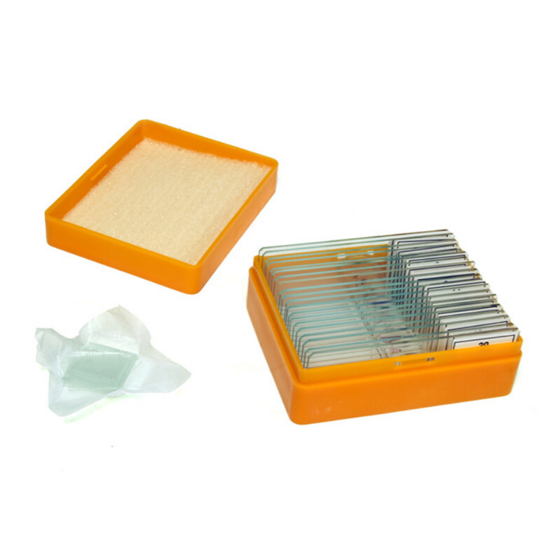 Levenhuk Preparati permanenti N20 NG