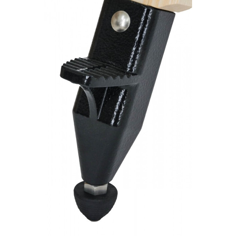 Berlebach Cavalletto Uni 18 ZWO AM5