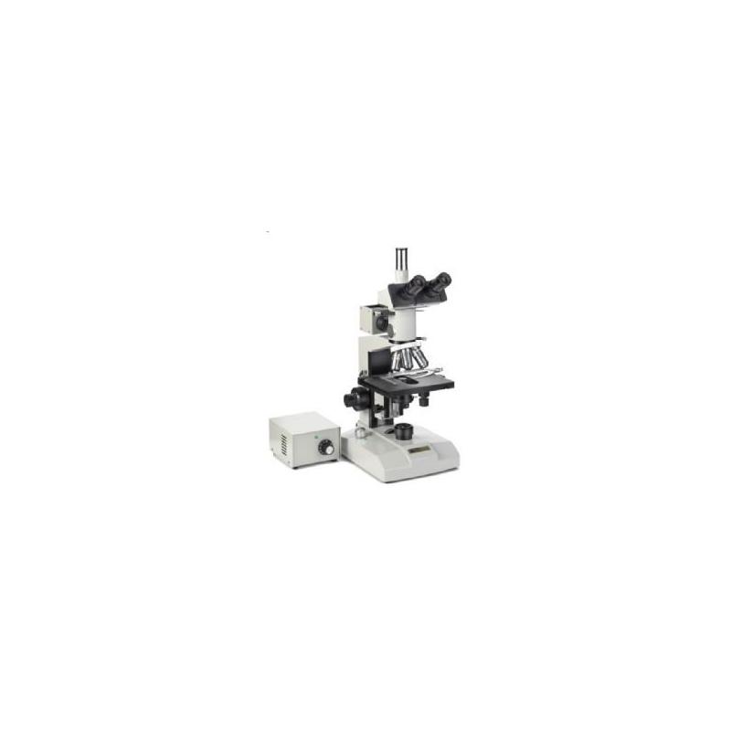 Euromex Microscopio ME.2665 Metallurgia