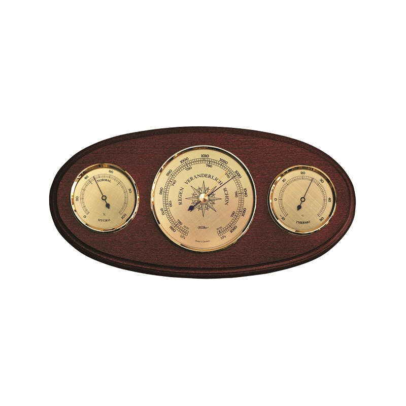 Fischer Stazione meteo 9160