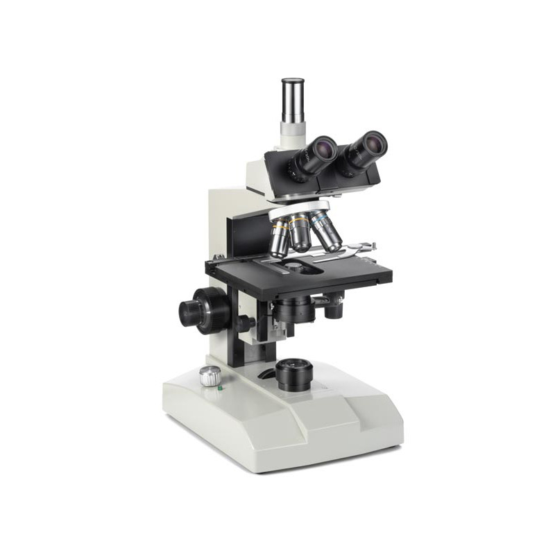 Euromex Microscopio FE.2540 con tavolino riscaldato