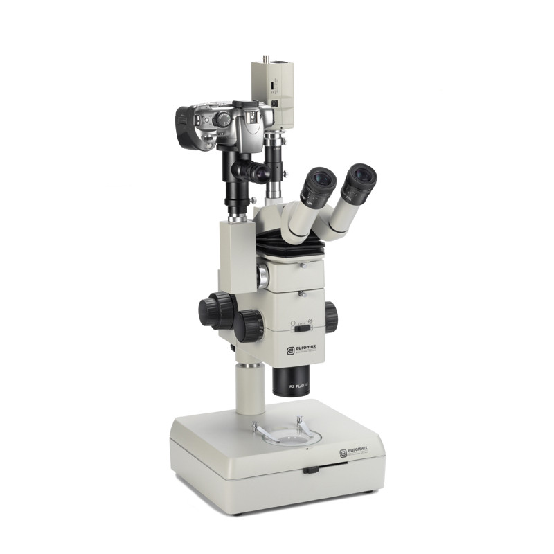 Euromex Microscopio stereoscopico modulare Cavalletto campo chiaro - campo scuro