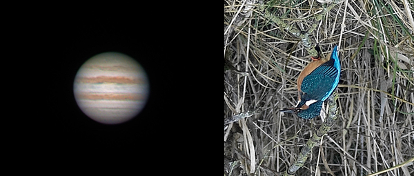 Ein Blick durch ein Newtonteleskop: Ob Jupiter auf dem Kopf steht, ist nicht so wichtig. Der arme Eisvogel weiß so aber nicht mehr, wo ihm der Kopf steht
